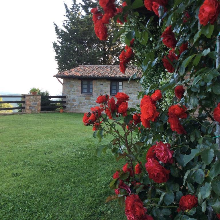 Agriturismo La Bicocca - Apt. "Il Leccio" カステル・リゴーネ 部屋 写真