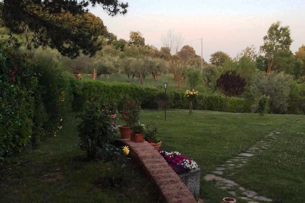 Agriturismo La Bicocca - Apt. "Il Leccio" カステル・リゴーネ 部屋 写真